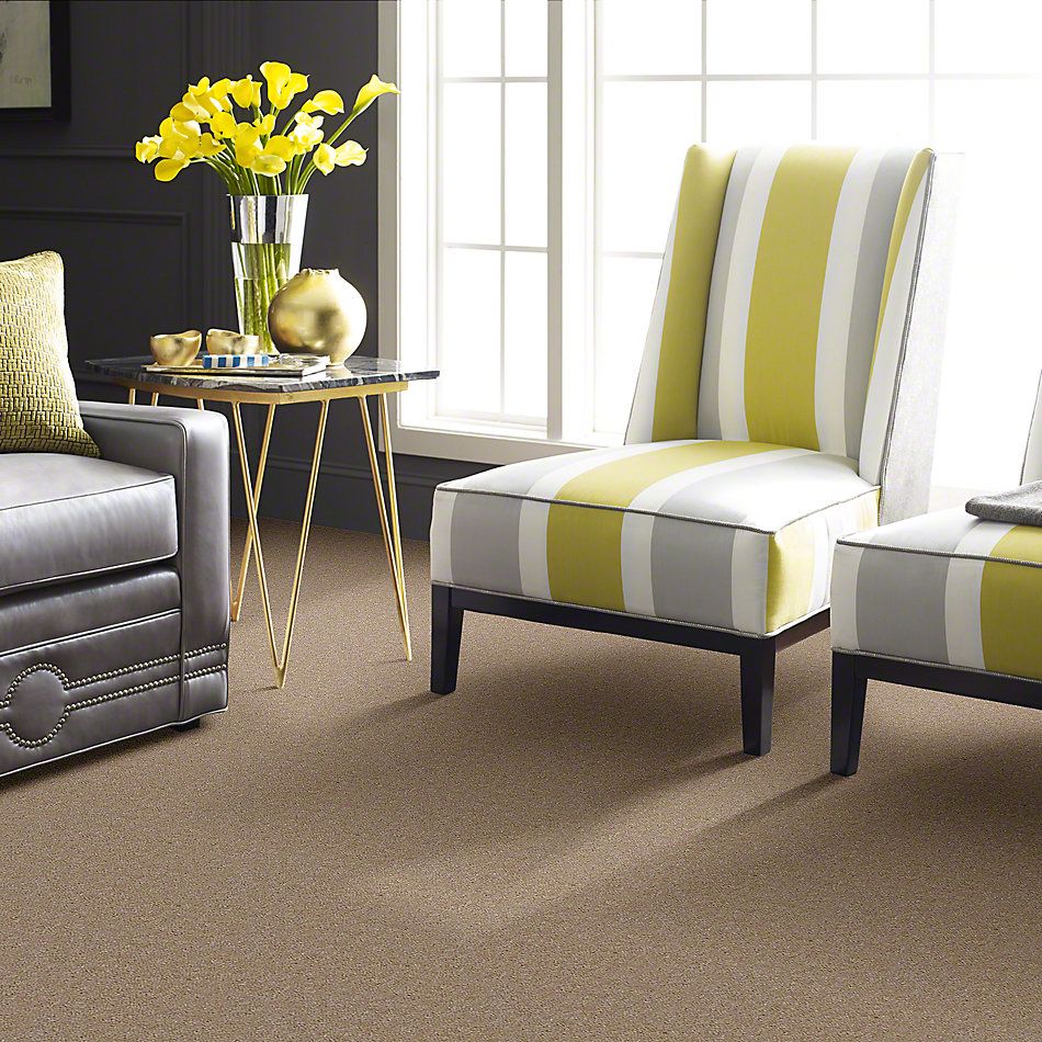 Shaw Floors This Is It Basketry 52E51_00117