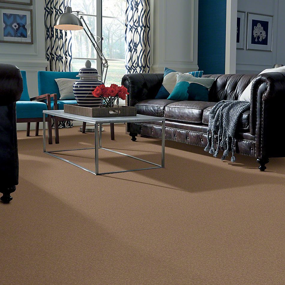 Shaw Floors Everyday Comfort (s) Sandstone 00118_52P07