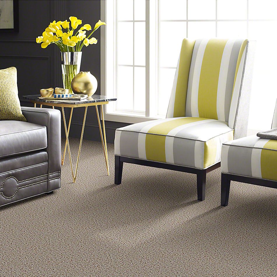 Shaw Floors Guess Work (b) Shell 52U00_00120