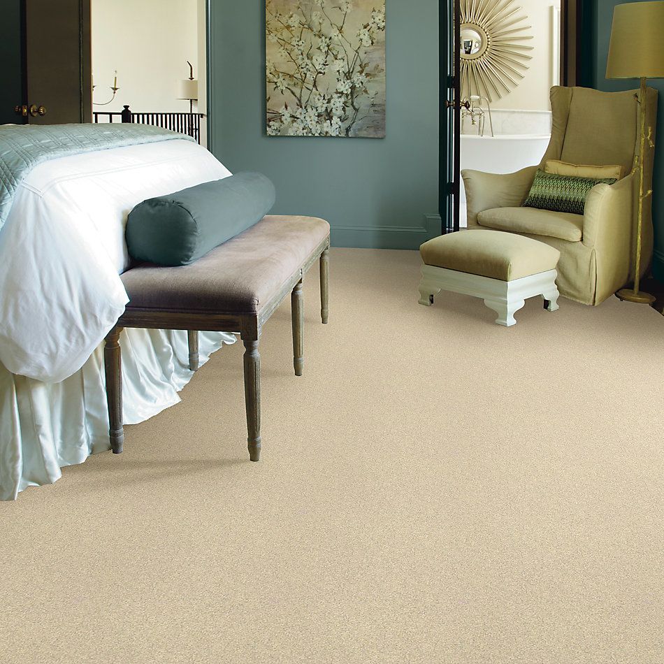 Shaw Floors Nfa/Apg Take the Floor Texture II Restoration 5.00E+06_00120