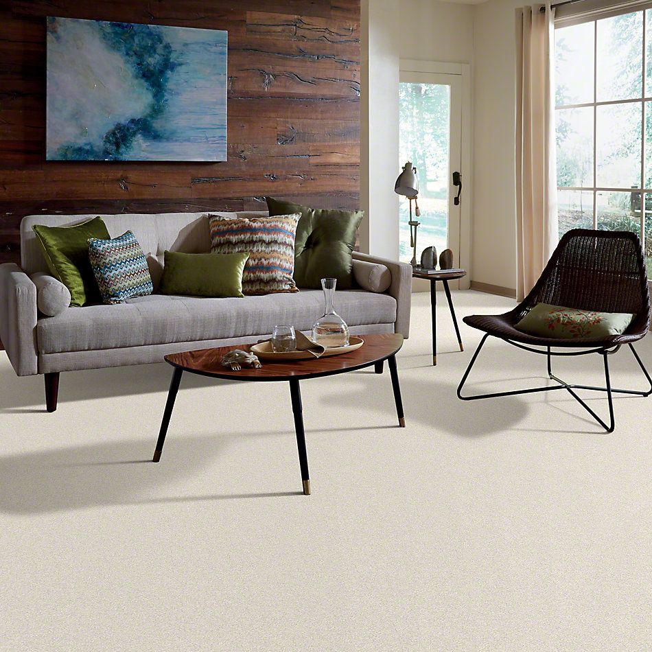 Shaw Floors Anso Colorwall Design Texture Platinum 12′ Pearl Glaze 00121_52T73
