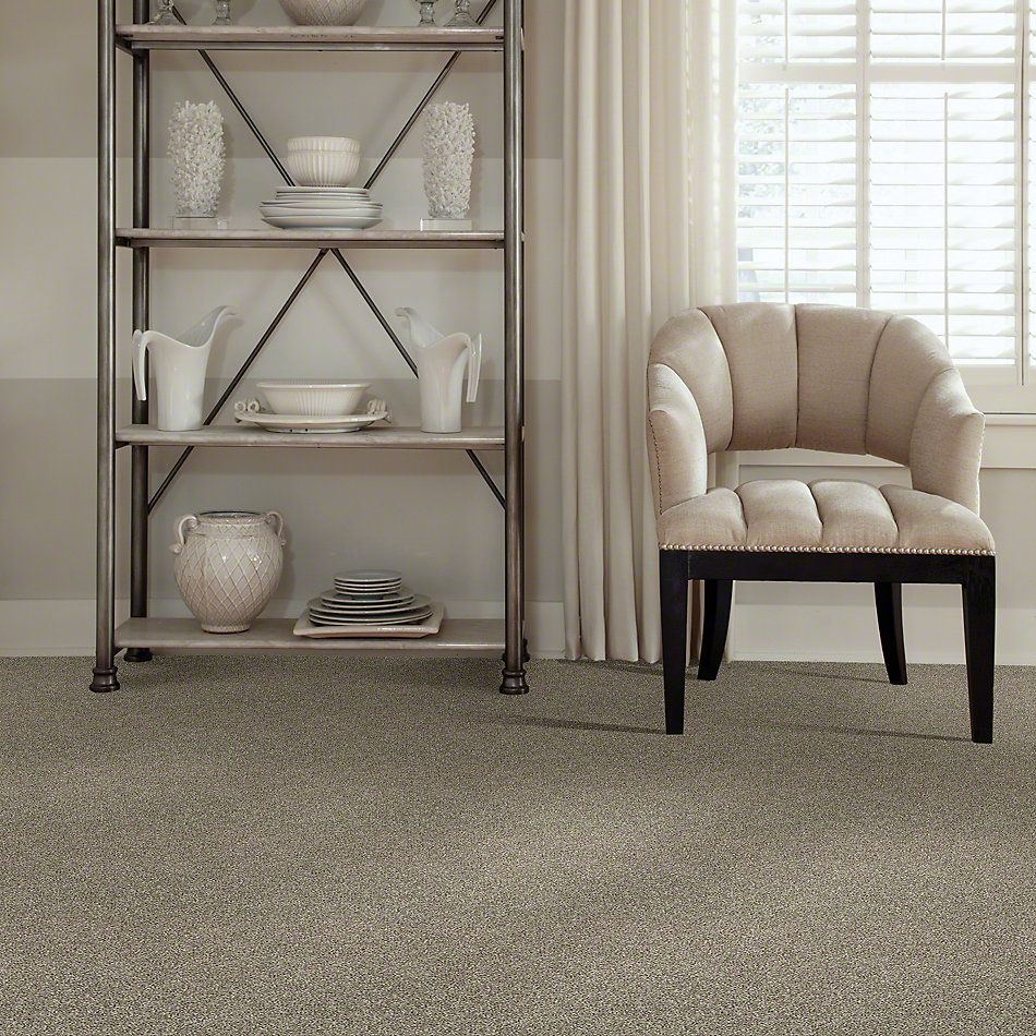 Shaw Floors Shake It Up (t) Owl 00121_E9698