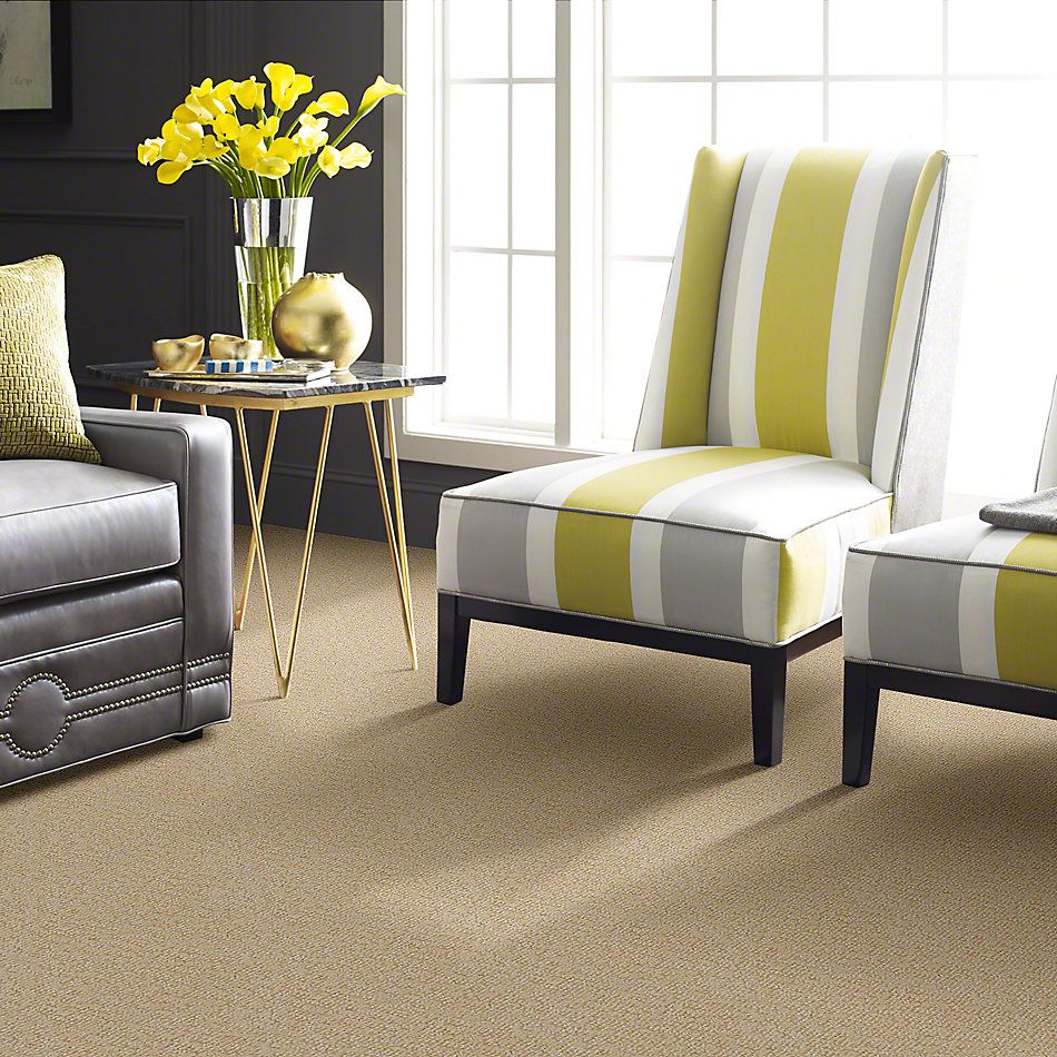 Anderson Tuftex Alante Iverson Marble Dust 831AG_00122