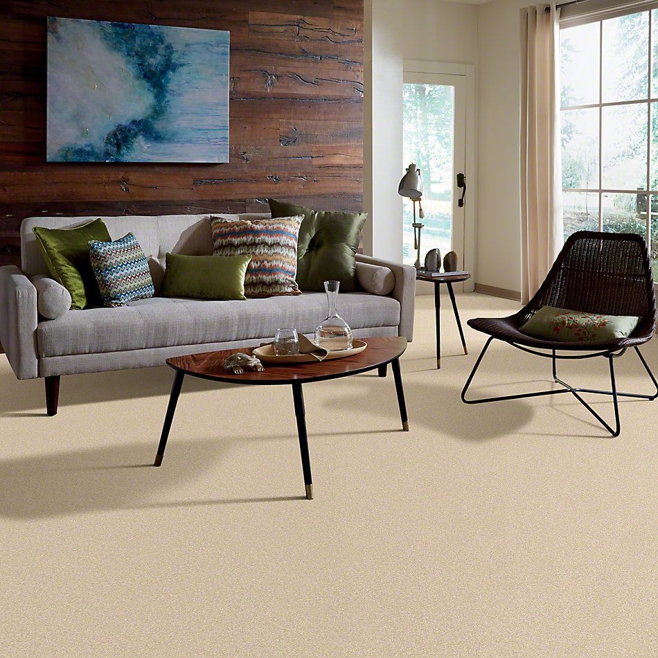 Anderson Tuftex One Sweet Day Icy Ivory 00122_Z6854