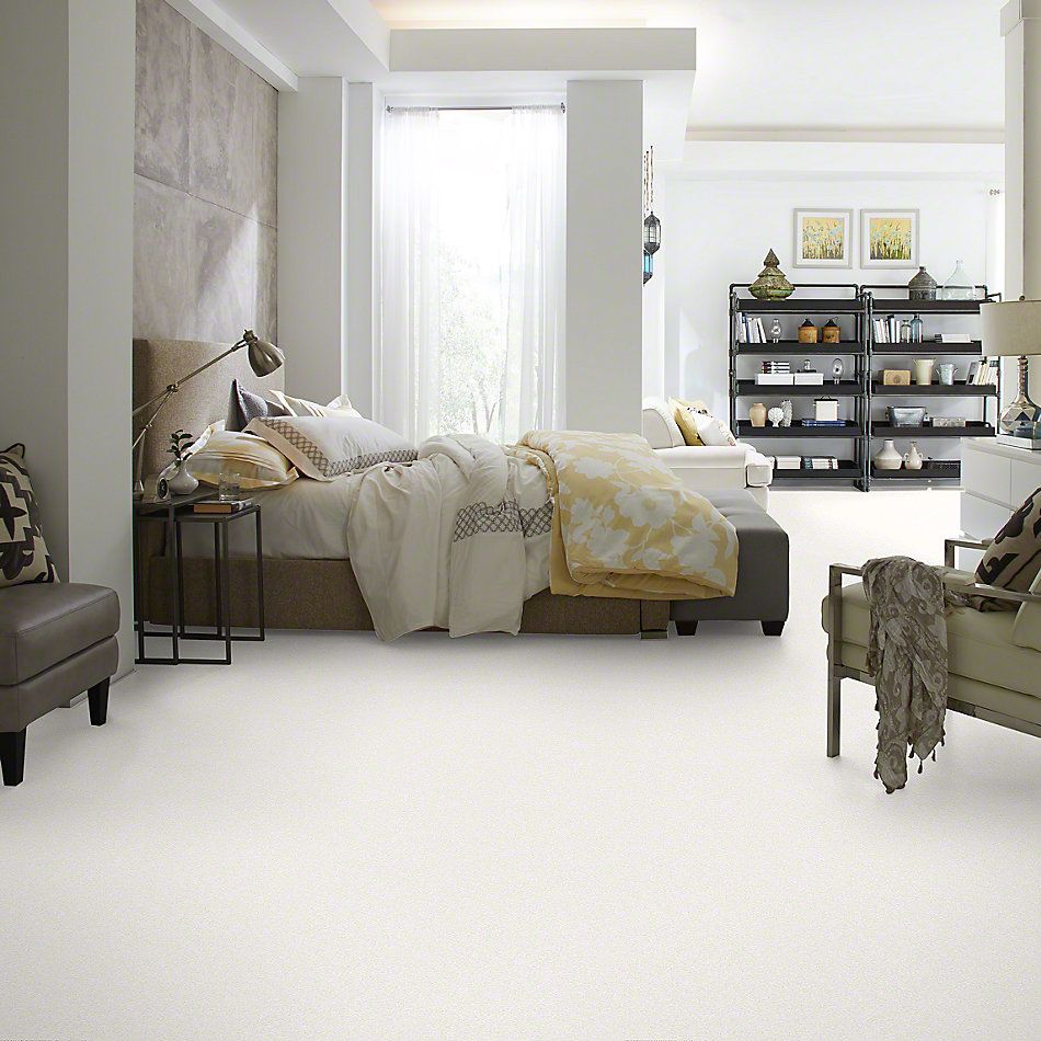 Shaw Floors Anso Colorwall Platinum Texture 12′ Snow Cap 00122_EA572