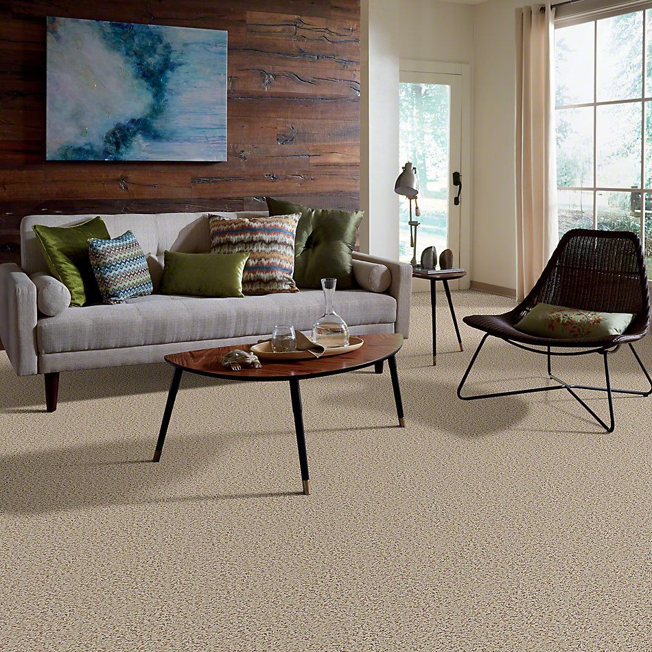 Shaw Floors Guess Work (b) Pebble 52U00_00123