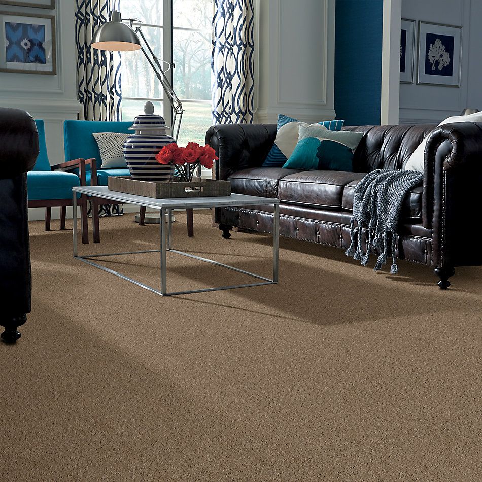 Anderson Tuftex Always Classic Desert Sand 00124_033NF