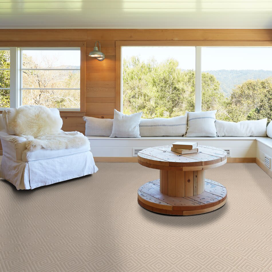 Anderson Tuftex Builder Spartacus Sparkling 00124_ZB227