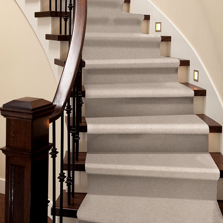 Shaw Floors Nfa/Apg Barracan Classic Iv Blush 00125_NA077