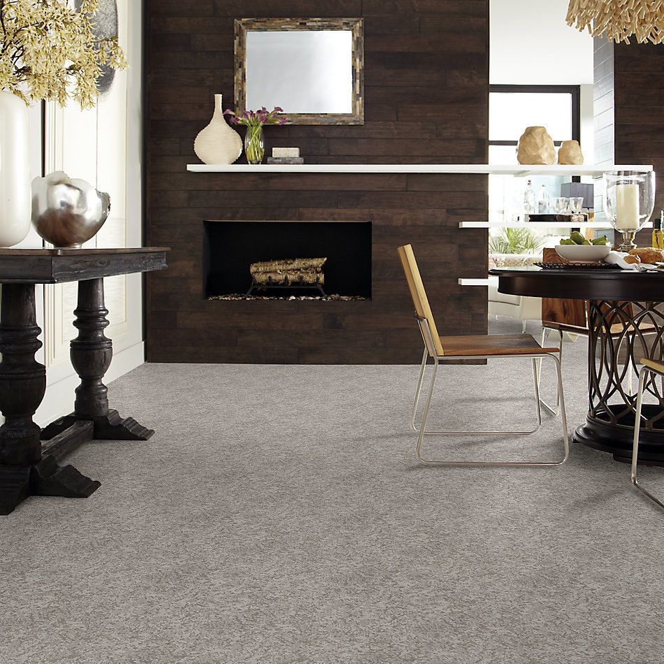 Shaw Floors Value Collections State Of Mind Net Cold Winter 00126_5E373