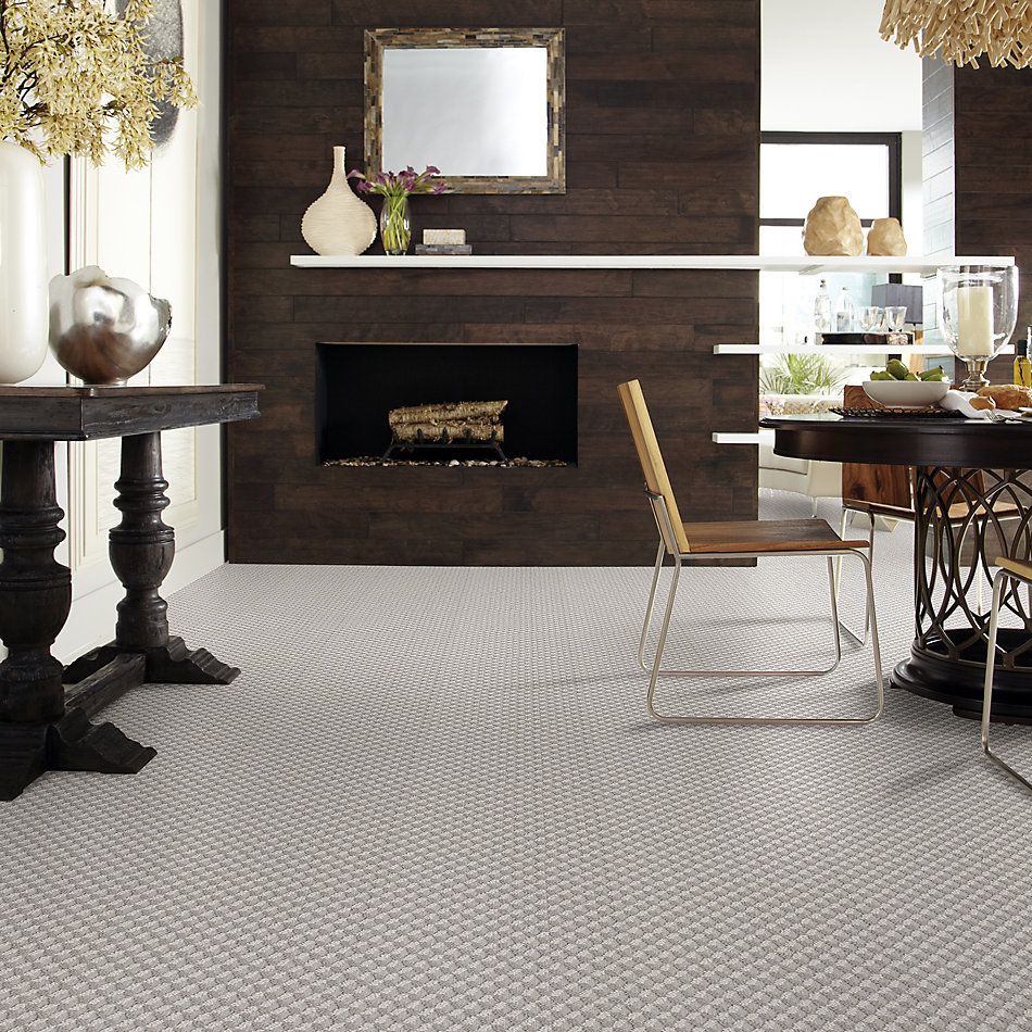 Shaw Floors Value Collections Inspired Design Net Cold Winter 00126_5E379
