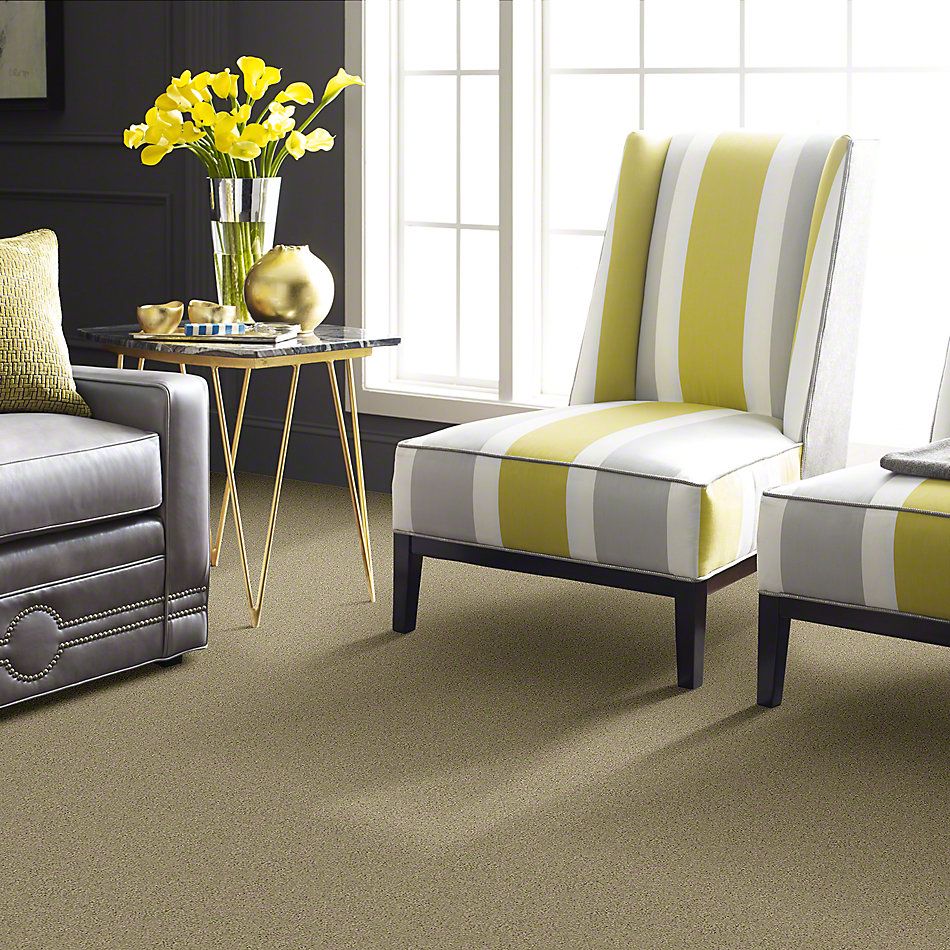 Shaw Floors Entourage Texture Beachwalk GF00126_E0342