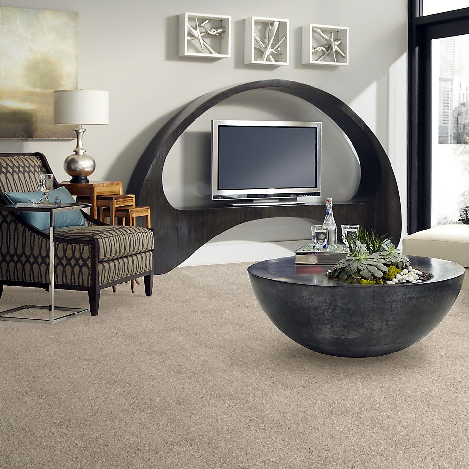Shaw Floors Value Collections Cashmere III Lg Net Suede 00127_CC49B