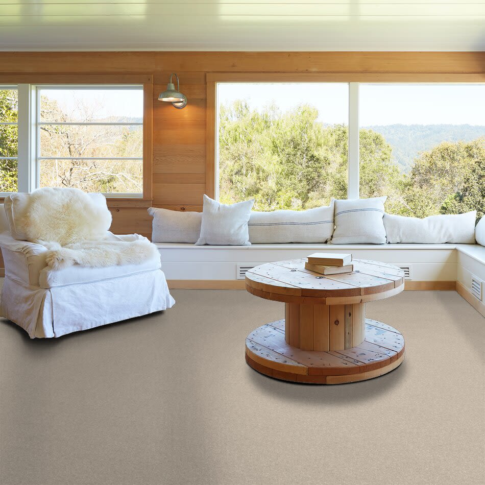 Shaw Floors Value Collections Cashmere Classic I Net Suede 00127_E9922