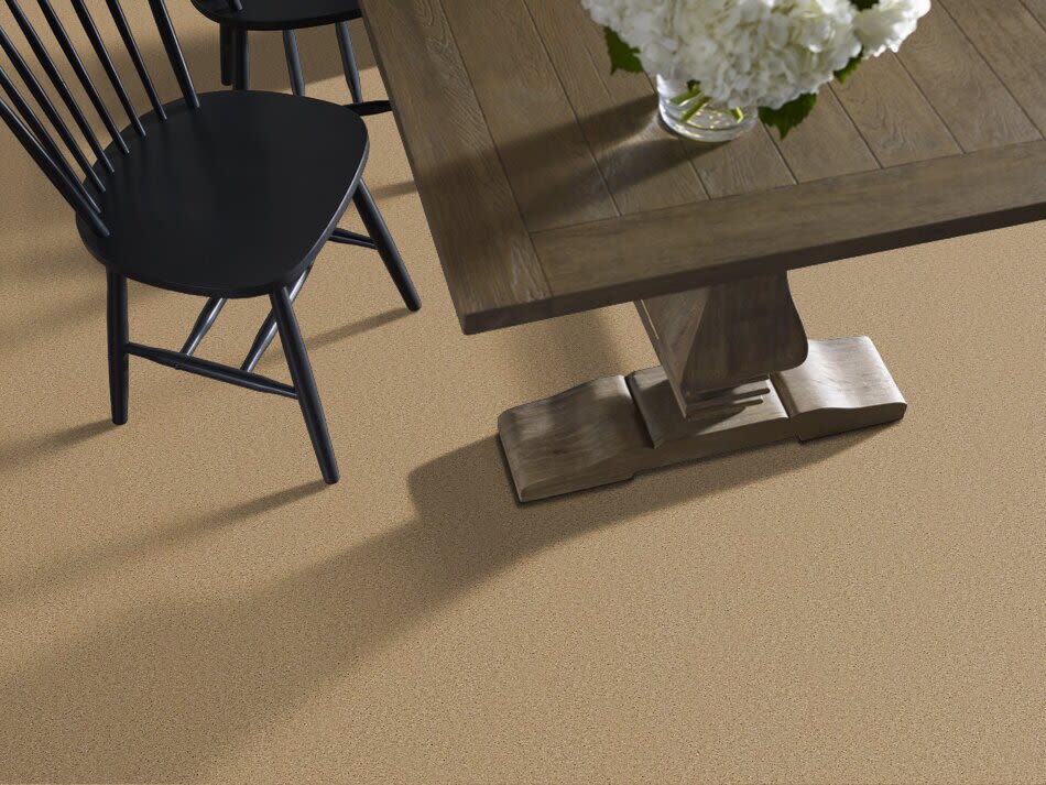 Shaw Floors Exalted Beauty III Cologne Mist 00128_748Z5