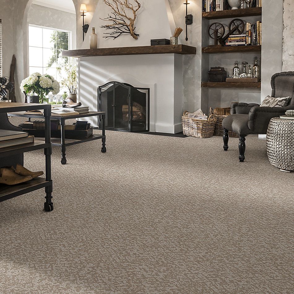 Shaw Floors Nfa Flowing Spirit Baltic Stone 00128_NA490