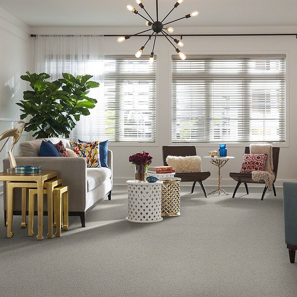 Shaw Floors Anso Colorwall Gold Twist Vienna Sights 00130_EA575