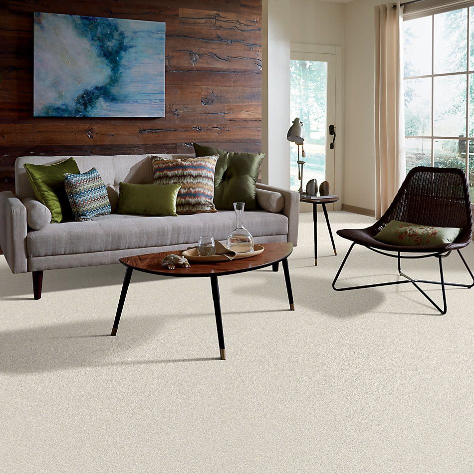 Shaw Floors Value Collections Take The Floor Twist I Net Biscotti 00131_5E069