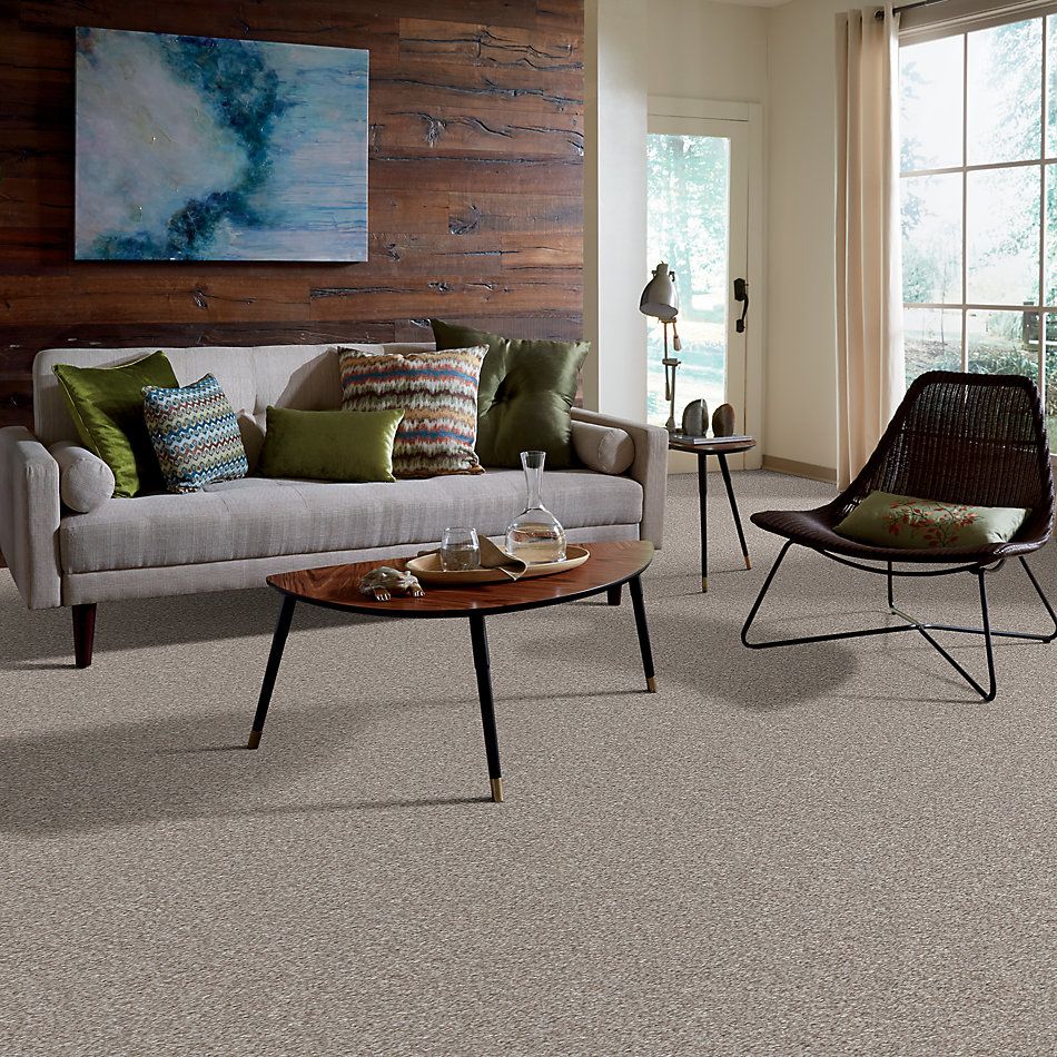 Shaw Floors Value Collections Go After It 3 Off Shore 00131_5E391