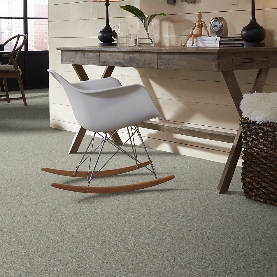 Shaw Floors Simply The Best Boundless Iv Net Soft Breeze 00131_5E506