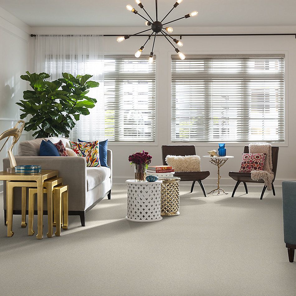 Shaw Floors Nfa/Apg Take the Floor Texture I Biscotti 5.00E+05_00131