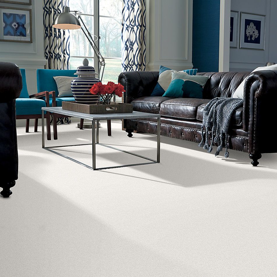 Shaw Floors Nfa/Apg Take the Floor Twist I Paradise 5.00E+14_00132