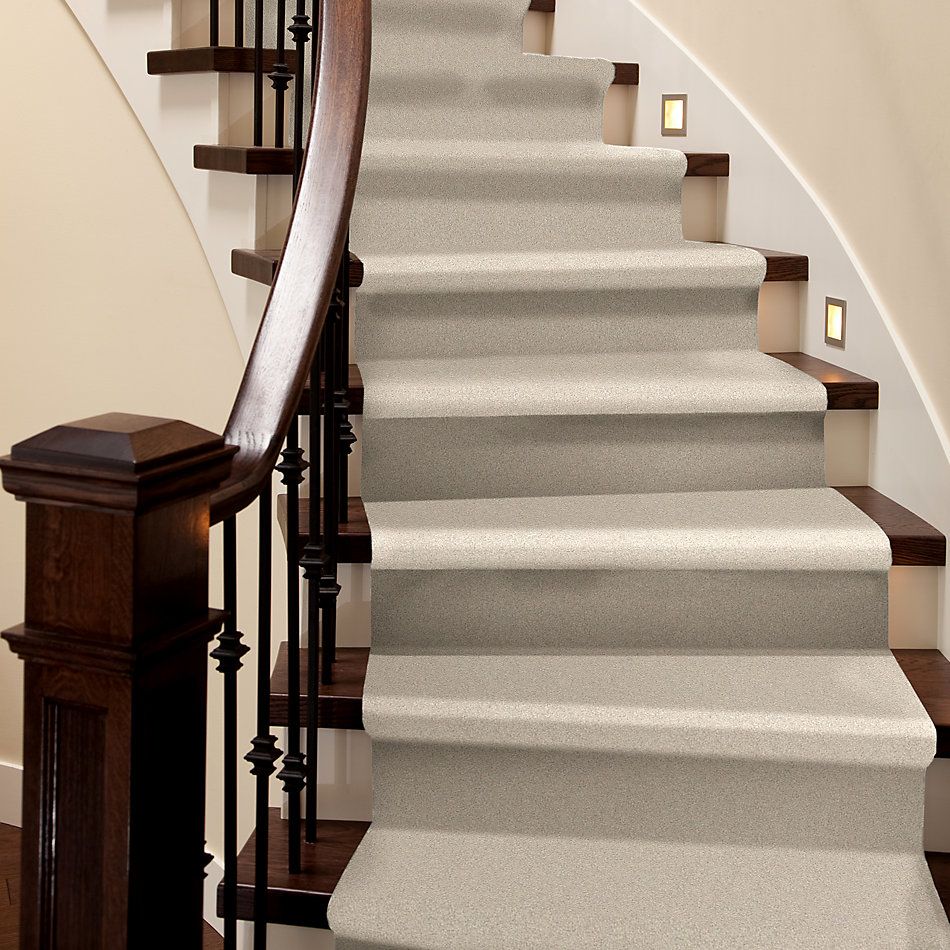 Shaw Floors Nfa/Apg Take the Floor Texture II Patience 5.00E+06_00133