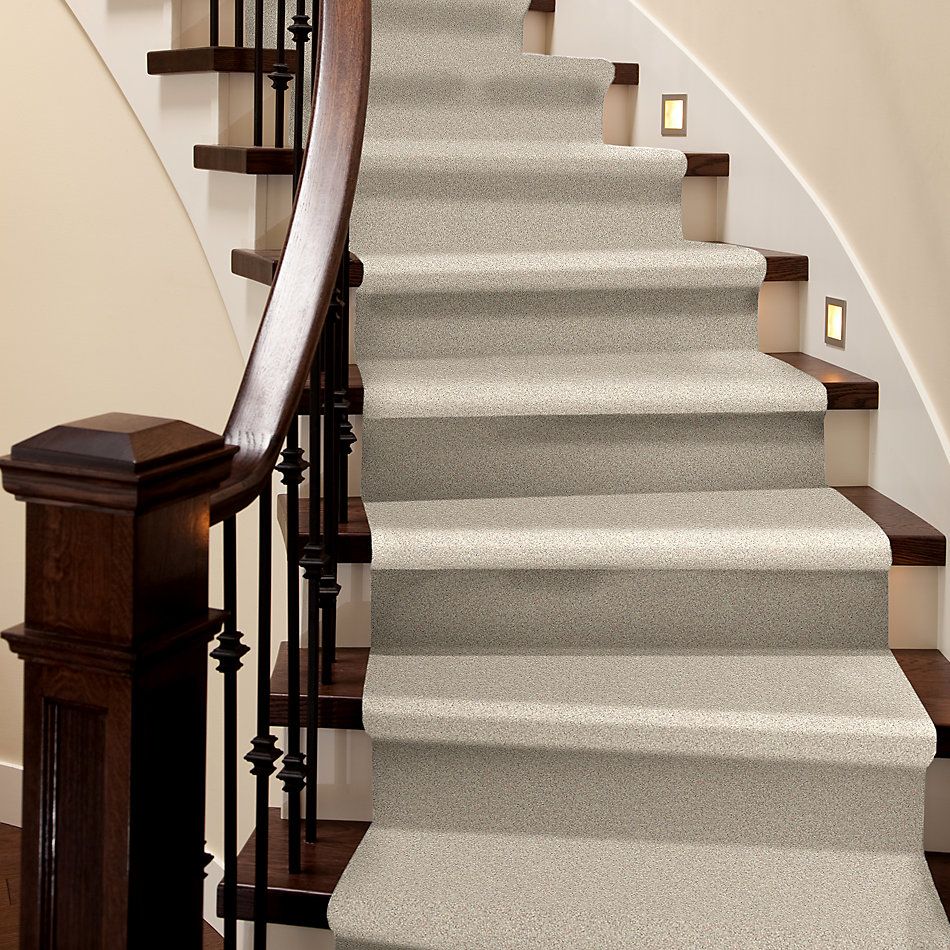Shaw Floors Nfa/Apg Take the Floor Twist I Patience 5.00E+14_00133
