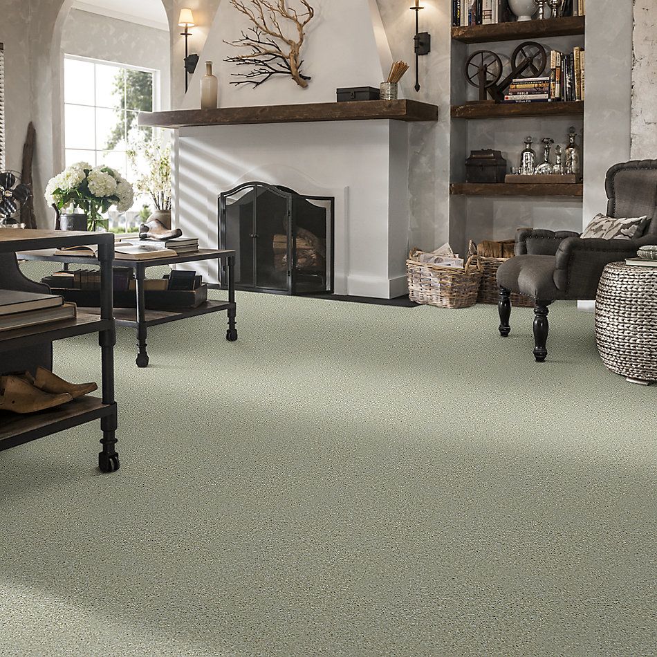 Shaw Floors Value Collections Play Hard Net Bliss 00135_E0797