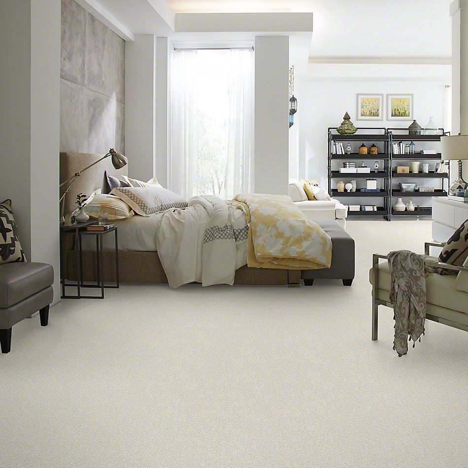 Shaw Floors Foundations Take The Floor Texture II Alpaca 00140_5E006