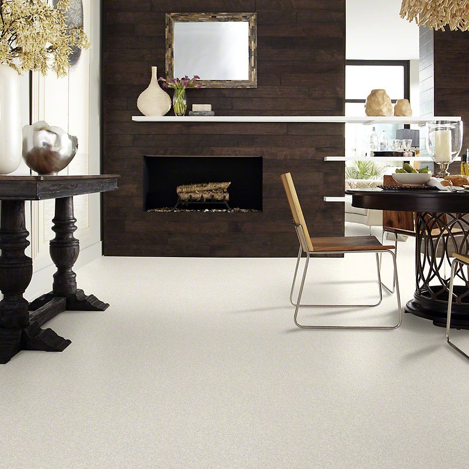 Shaw Floors Foundations Take The Floor Texture I Alpaca 00140_5E005