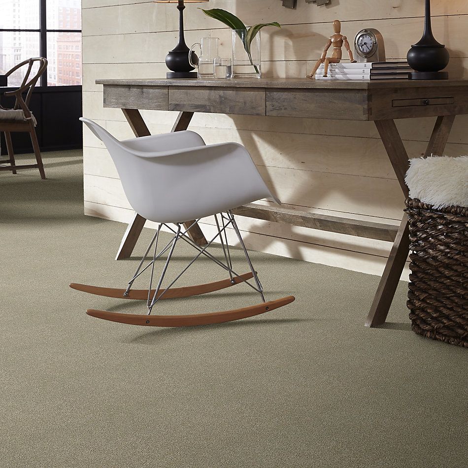 Shaw Floors Simply The Best Boundless Iv Net Morning Light 00140_5E506