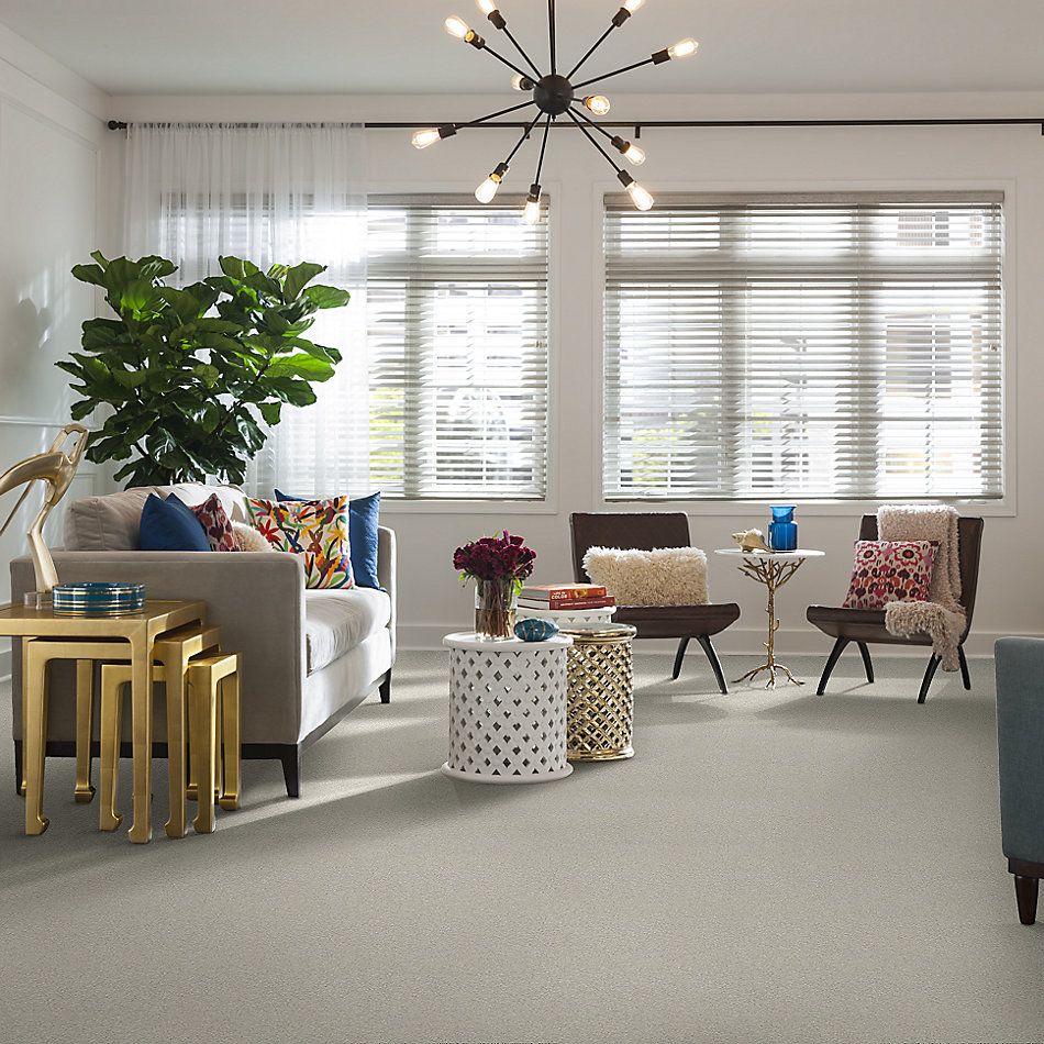 Shaw Floors Nfa/Apg Take the Floor Texture II Alpaca 5.00E+06_00140