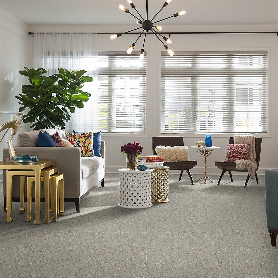 Shaw Floors Nfa/Apg Take the Floor Texture I Lead The Way 5.00E+05_00141