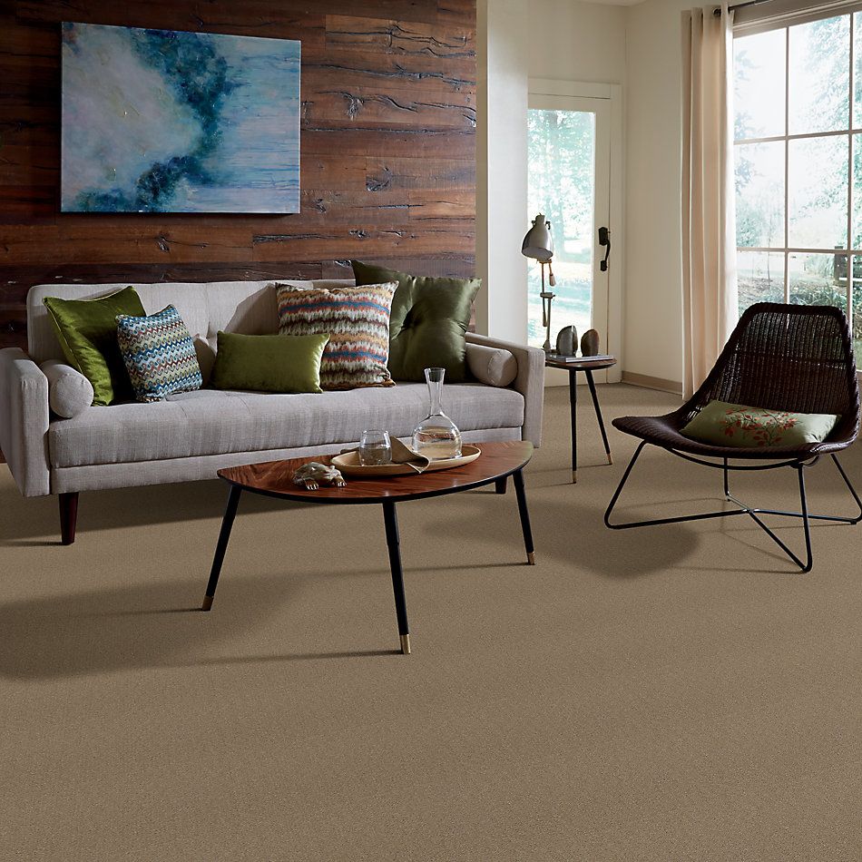 Patcraft Encore Collection Windsweptencore Grain 00144_I0200