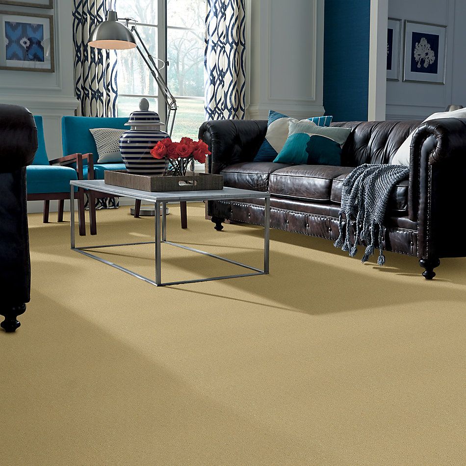 Patcraft Sheer Velvet 30 Iv Butter 00148_DC200