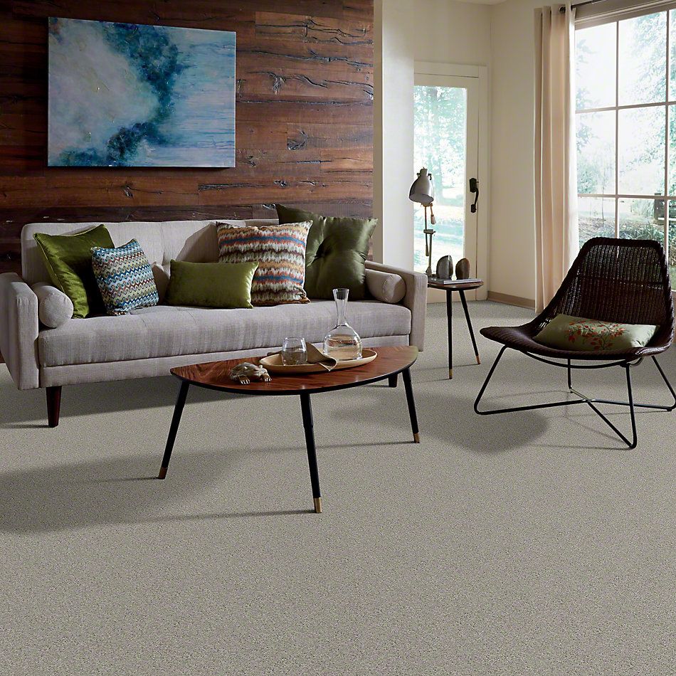 Shaw Floors Inspired By III Textured Canvas 00150_5562G
