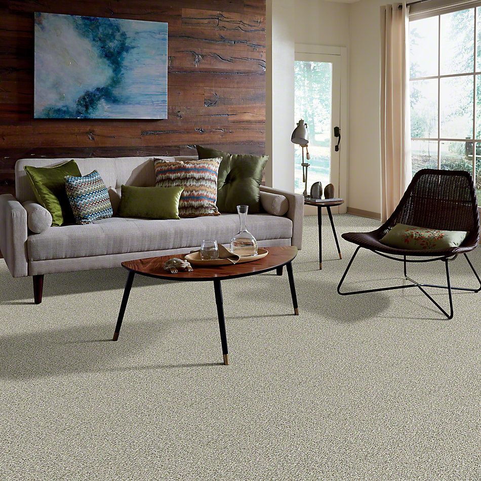 Shaw Floors Value Collections Cabana Bay (b) Net Winter 00150_5E001