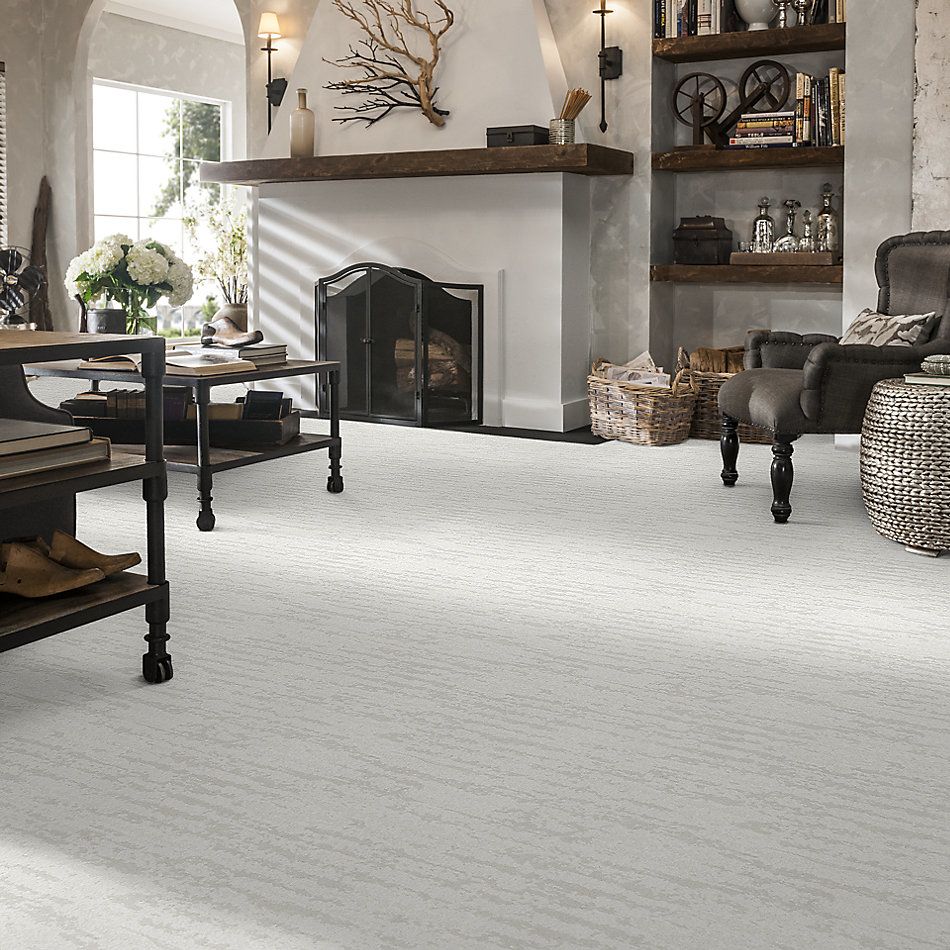 Shaw Floors Value Collections Winter Solace Net Snowfall 00150_5E369