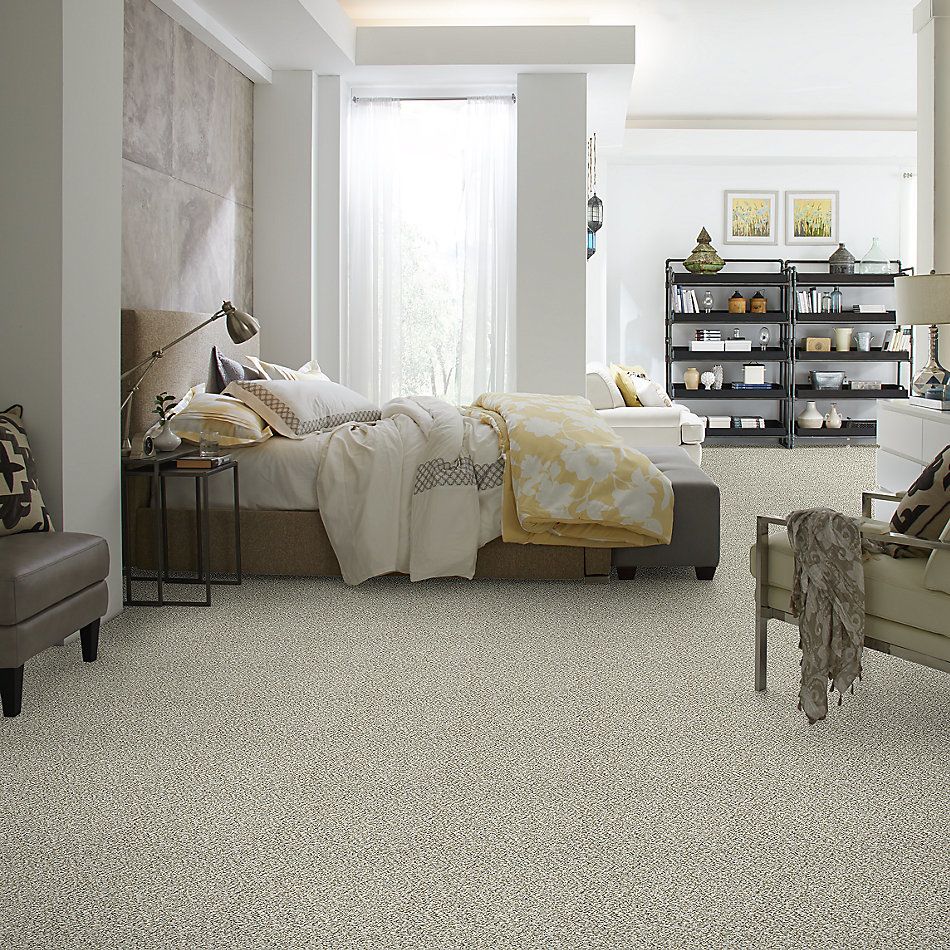 Shaw Floors Property Solutions Specified Presidio Tweed Winter 00150_PZ027