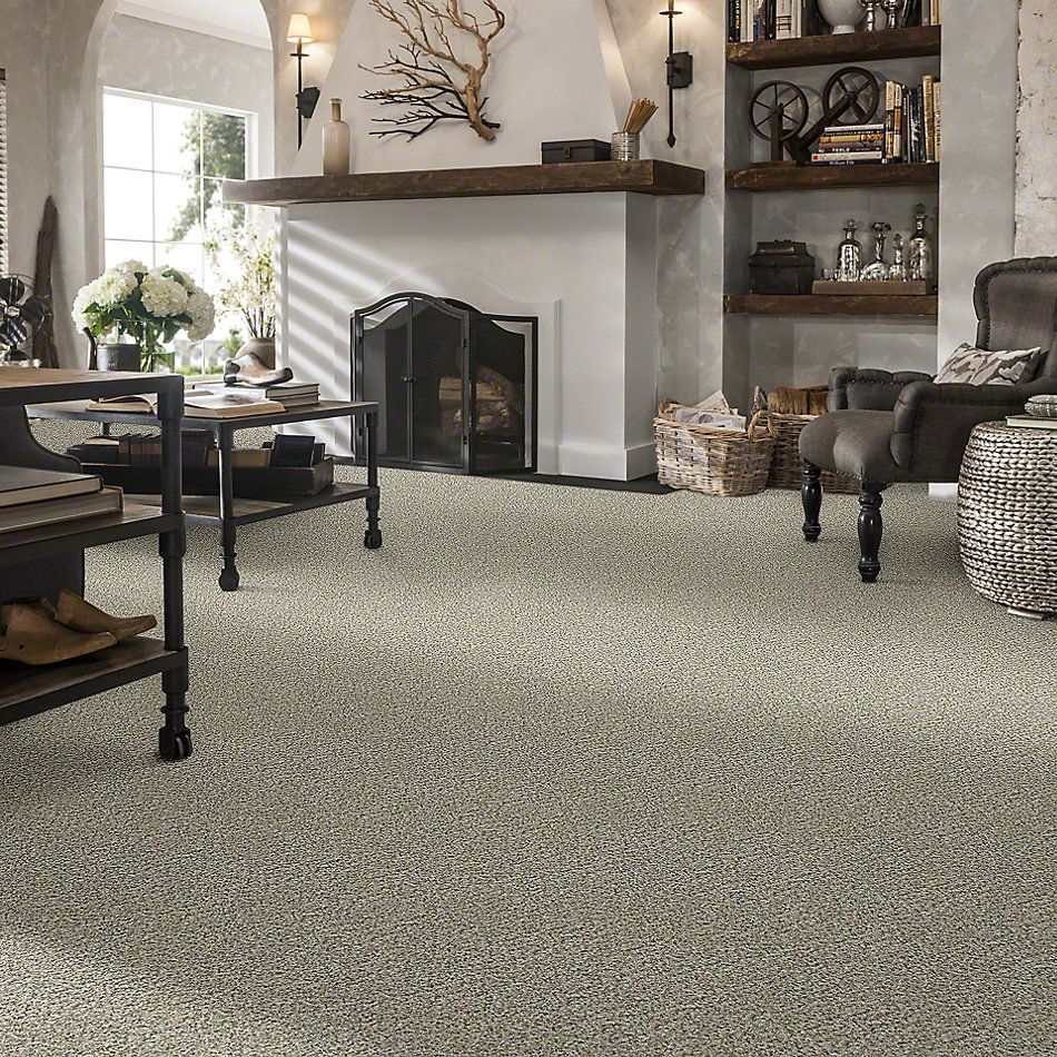 Shaw Floors Simply The Best Cabana Life (b) Net Seashell 00151_5E004