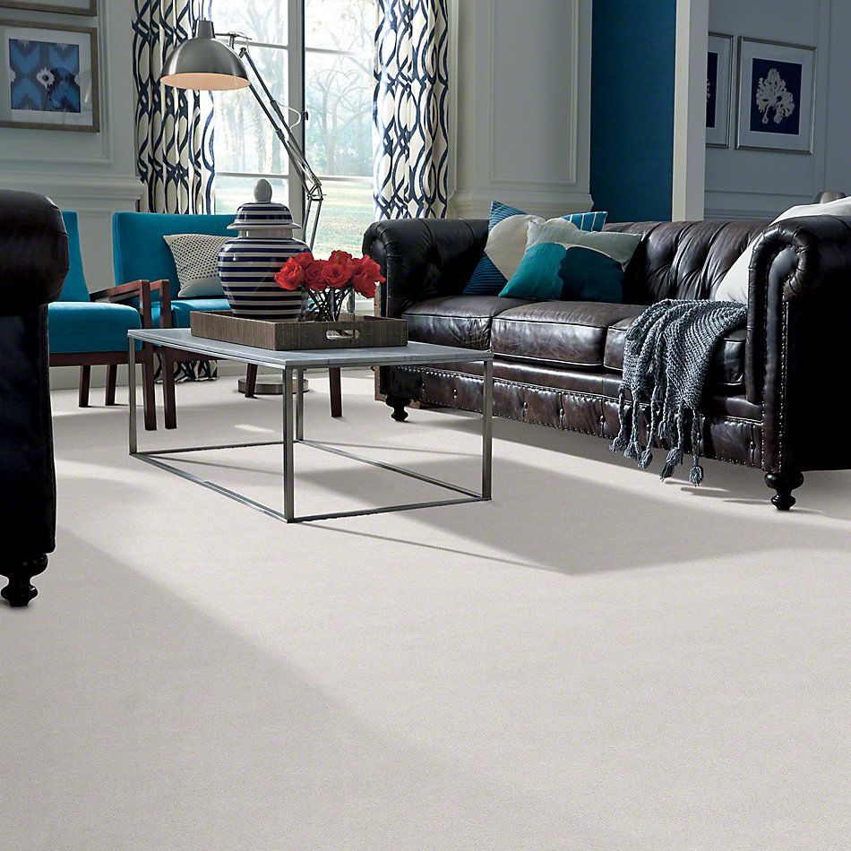 Shaw Floors Foundations Take The Floor Texture II Dove 00151_5E006