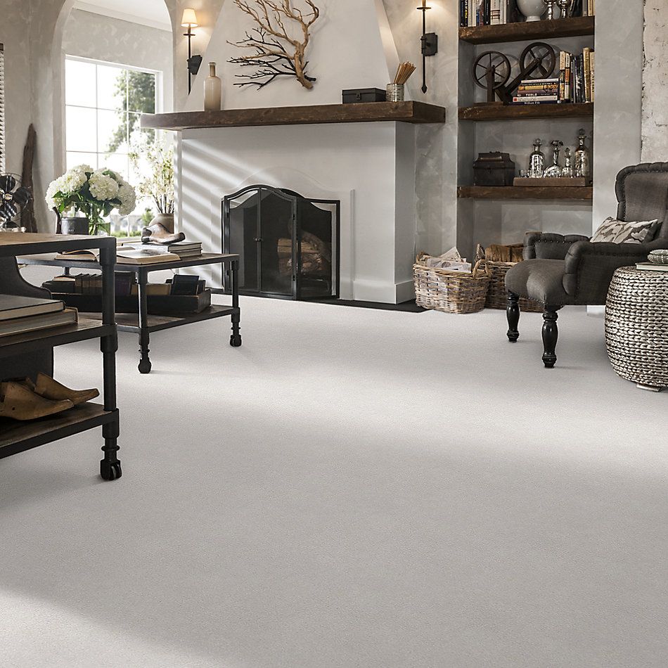 Shaw Floors Nfa/Apg Take the Floor Texture I Dove 5.00E+05_00151
