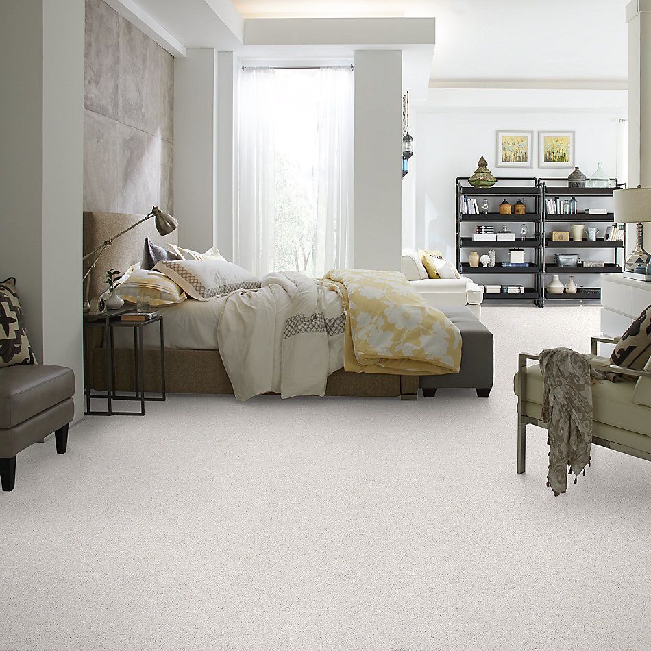 Shaw Floors Nfa/Apg Take the Floor Twist Blue Dove 5.00E+16_00151