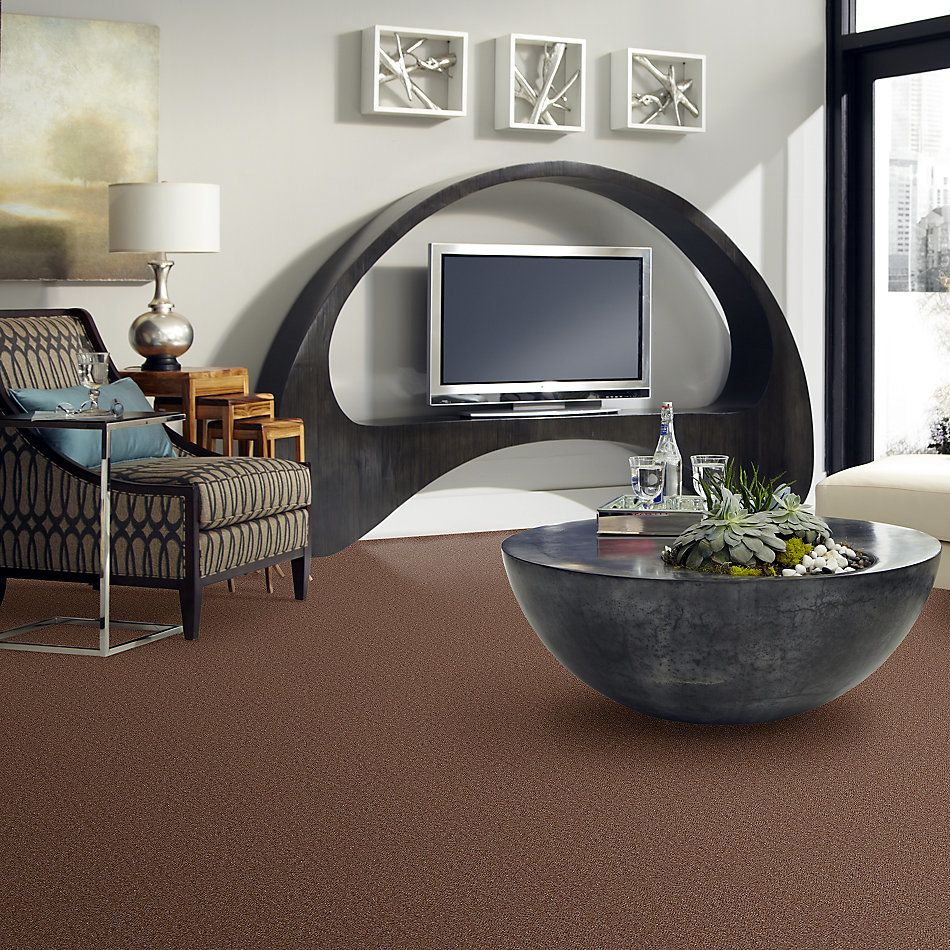 Shaw Floors Zipp Plus Buckskin 00151_Q3883