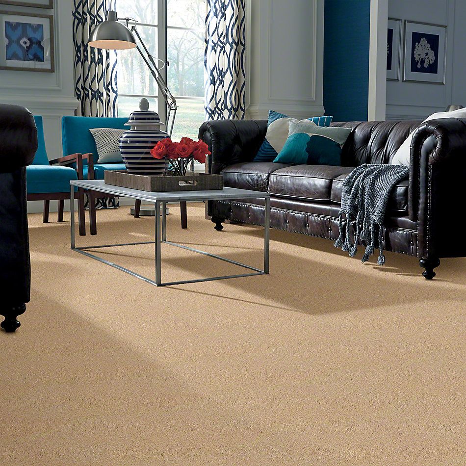 Shaw Floors This Is It Plus Softly Beige 00152_52N08