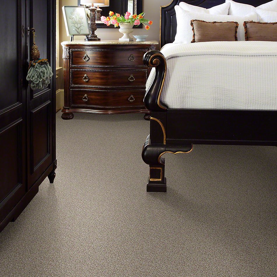 Shaw Floors Shaw Flooring Gallery Lucky You Leisurely 00152_5574G