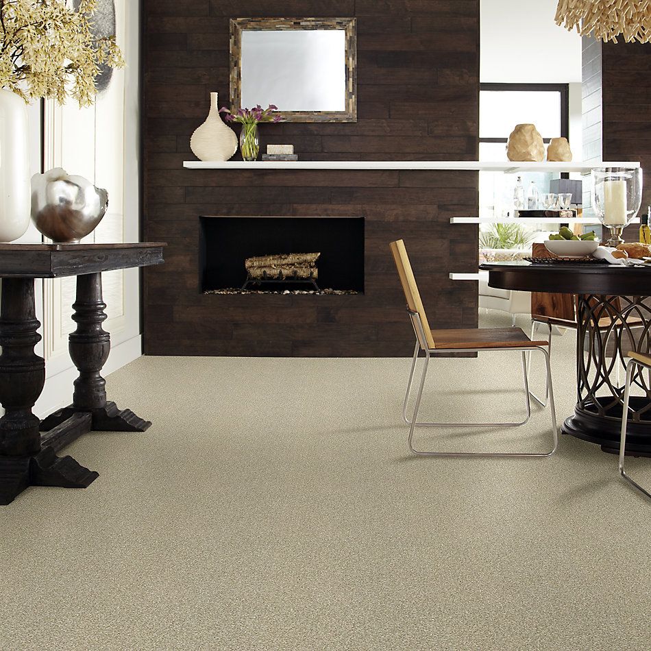 Shaw Floors Builder Specified Fresh Outlook Flax Seed 00152_HGR71