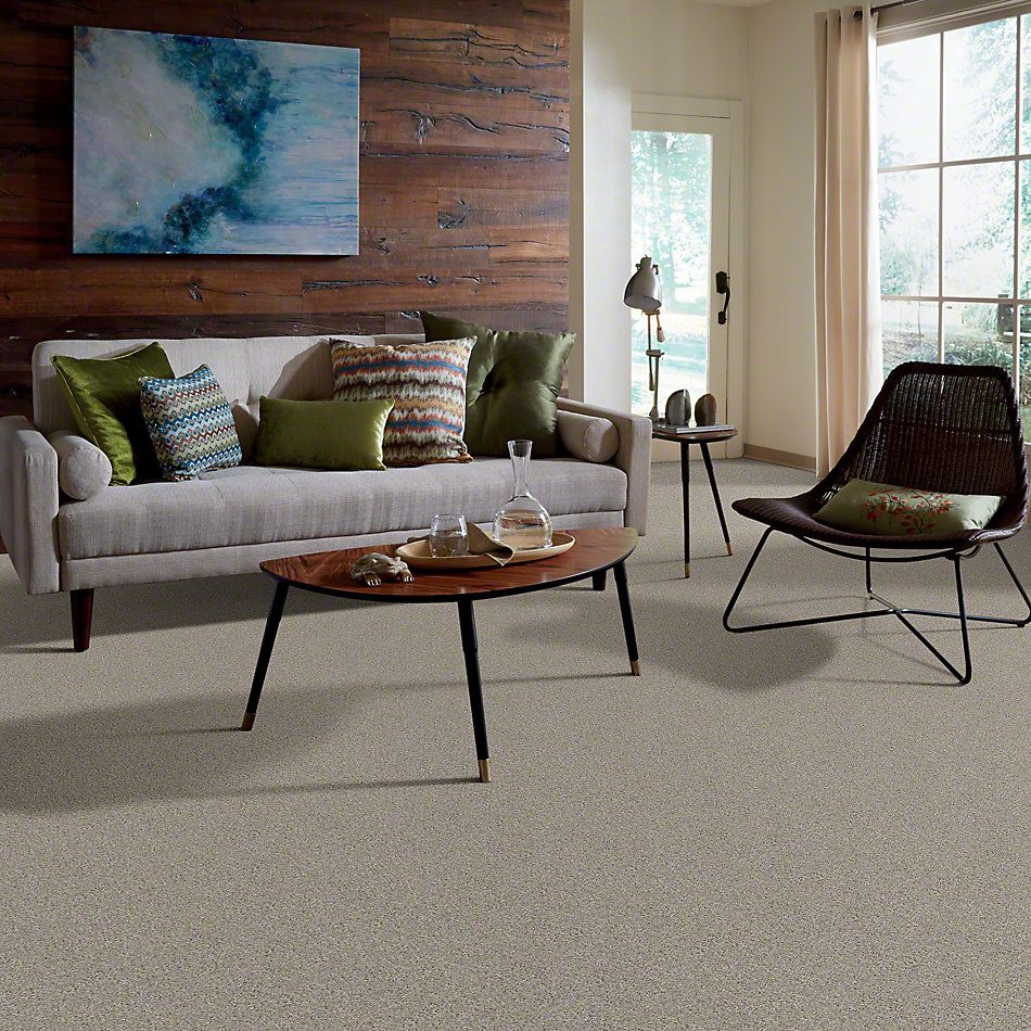 Shaw Floors Inspired By III Natural 00153_5562G