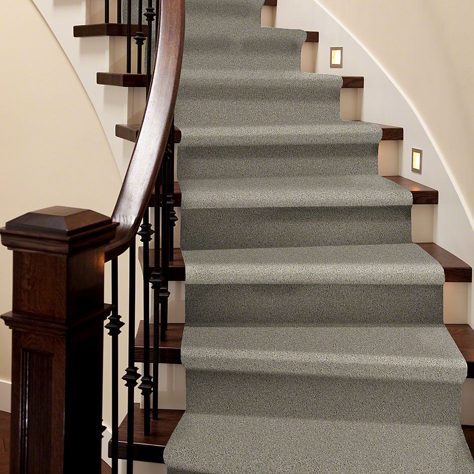 Shaw Floors SFA My Inspiration I Natural 00153_EA559